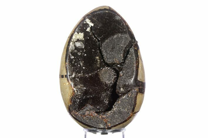Septarian Dragon Egg Geode - Sparkly Black Crystals #383844